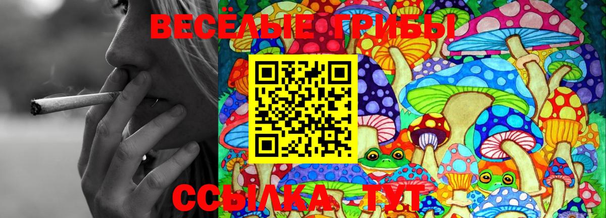Галлюциногенные грибы Psilocybine cubensis Волгодонск