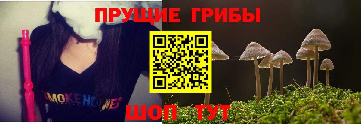 Галлюциногенные грибы Psilocybe  Вход с VPN  Волгодонск  Псилоцибиновые грибы мухоморы 
